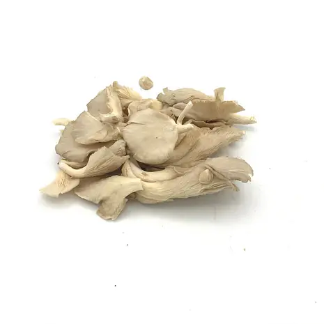 Seta Cultivada — Comprar online en Fruterías Ruiz & González