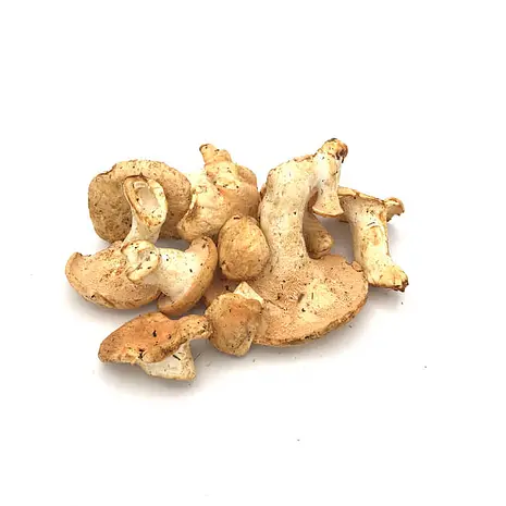 Seta Lengua de Vaca — Comprar online en Fruterías Ruiz & González