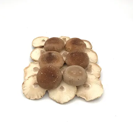 Seta Shiitake  — Comprar online en Fruterías Ruiz & González
