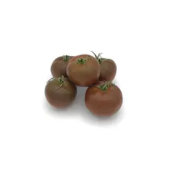 Tomate  Ibérico Bola — Comprar online