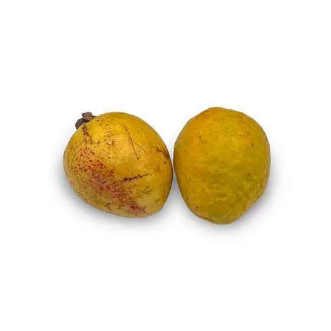 Guayaba — Comprar online en Fruterías Ruiz & González