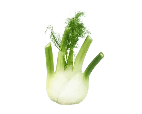 Hinojo — Comprar online en Fruterías Ruiz & González